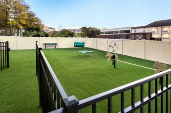 Pet-friendly community with paw spa for pampering your pet